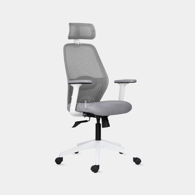 Ettorez Wave Ergonomic Office Chair- Grey