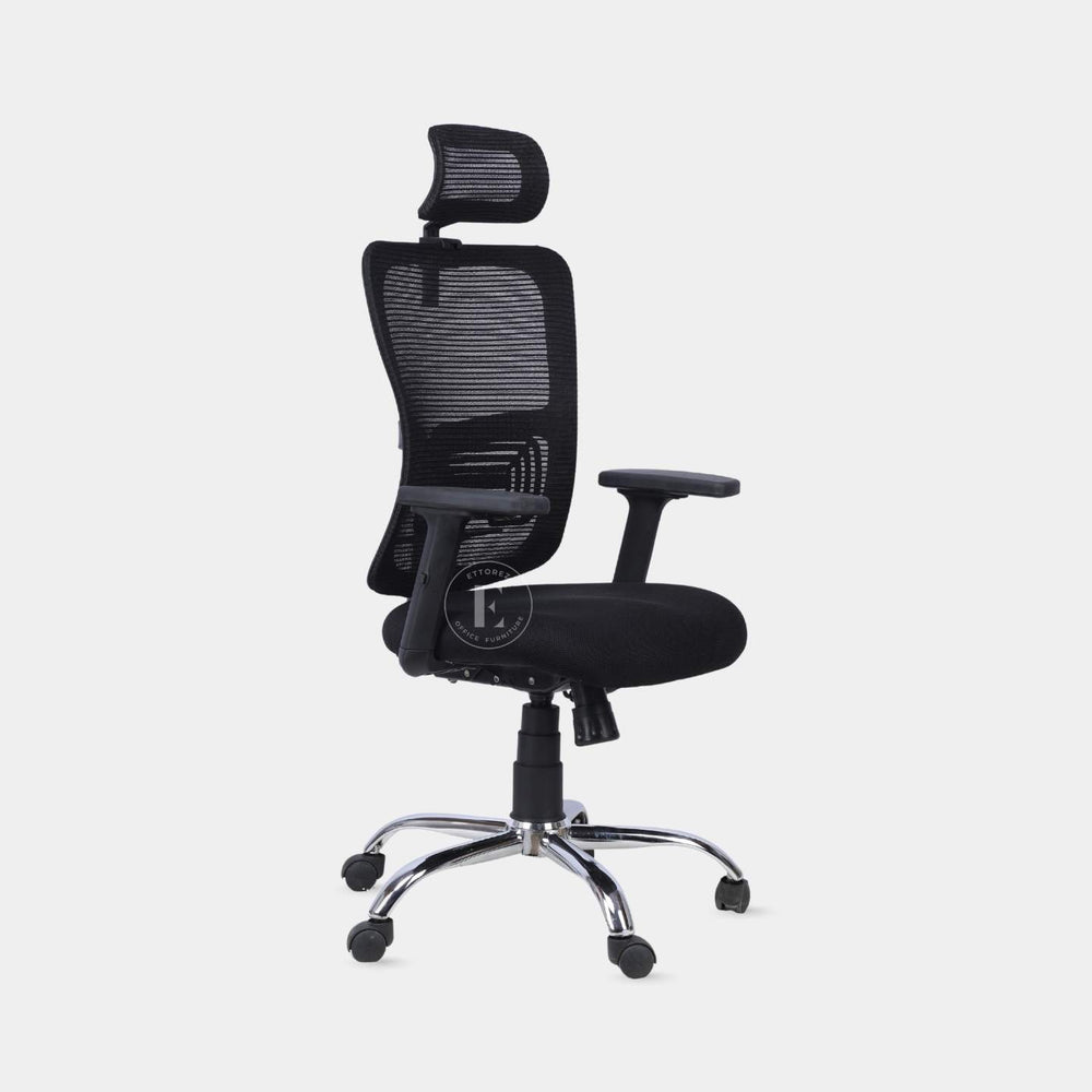 Ettorez Align-Pro Ergonomic Office Chair Black- Black