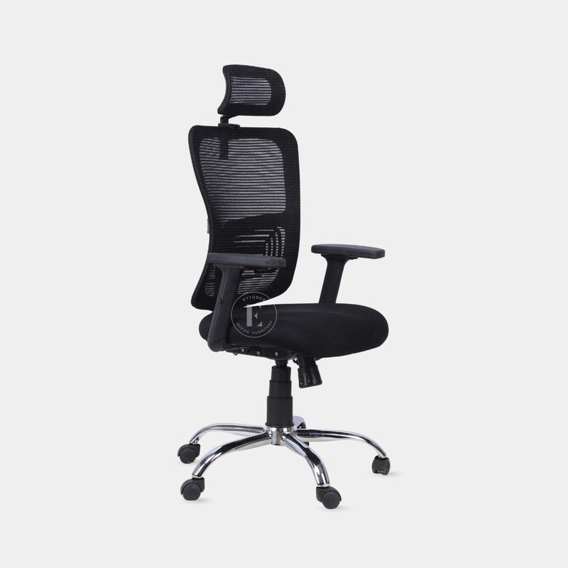 Ettorez Align-Pro Ergonomic Office Chair Black- Black