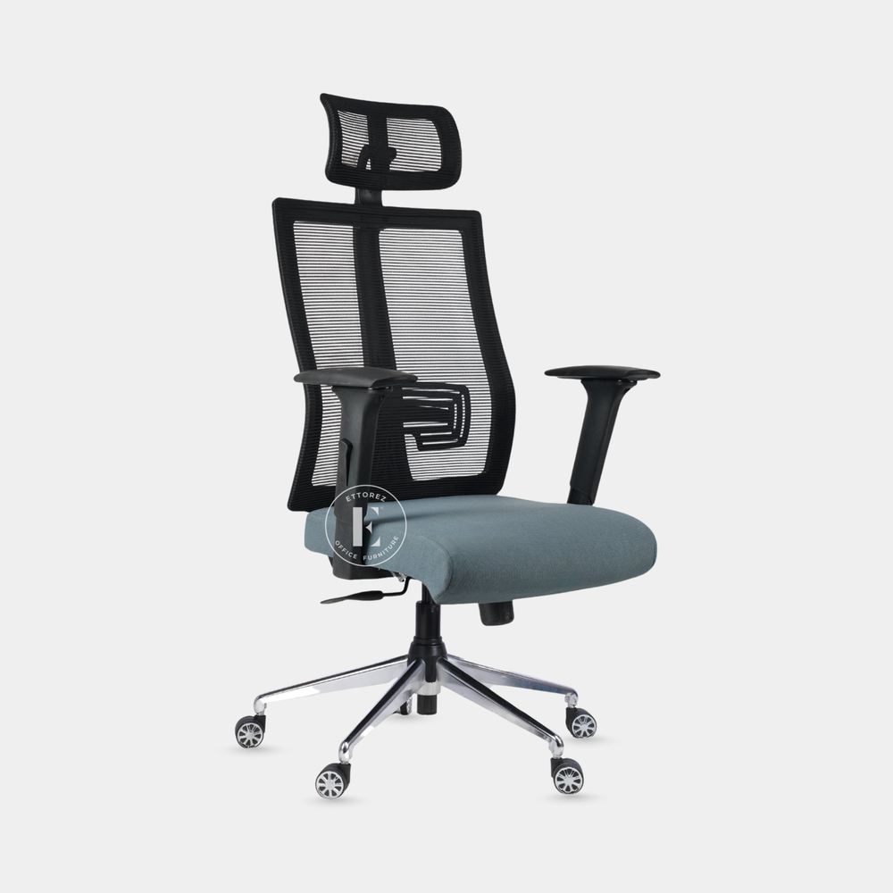 Ettorez ALFA High Back Ergonomic Mesh Office Chair
