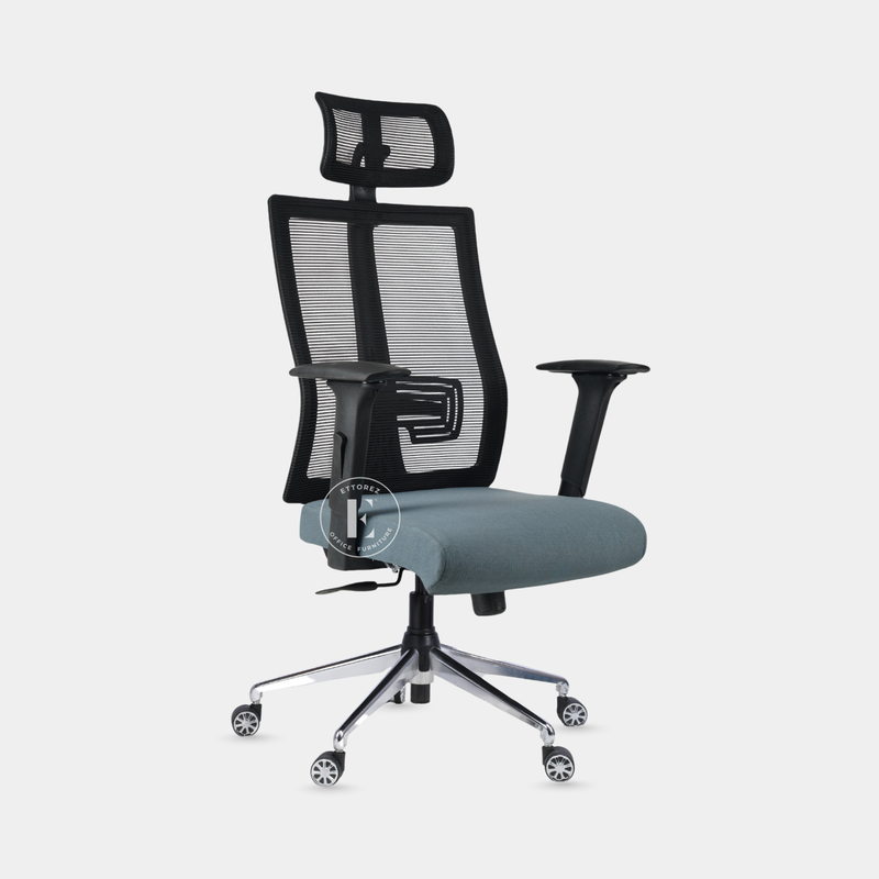 Ettorez ALFA High Back Ergonomic Mesh Office Chair