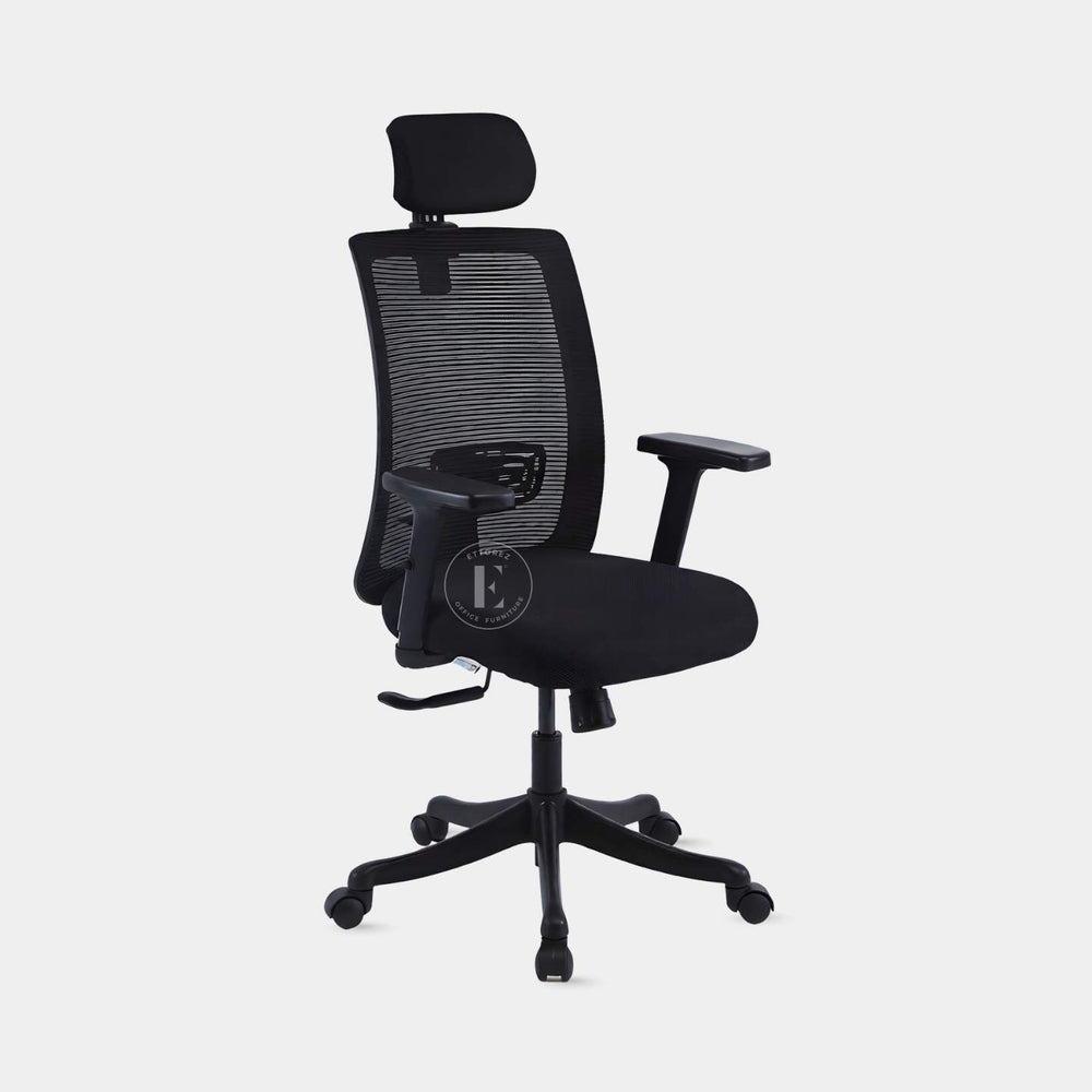 Ettorez VISTA High Back Ergonomic Office Chair