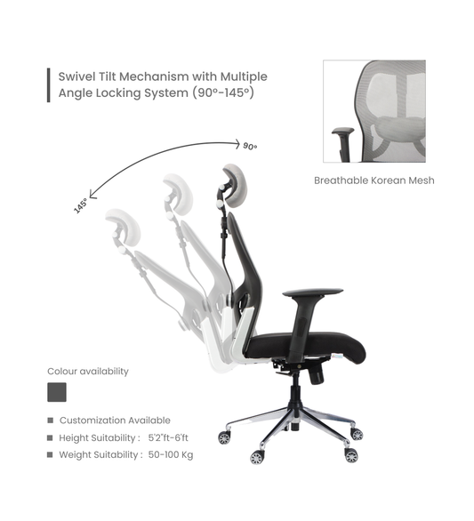 Ettorez MATT-DX High Back Mesh Ergonomic Grey Office Chair