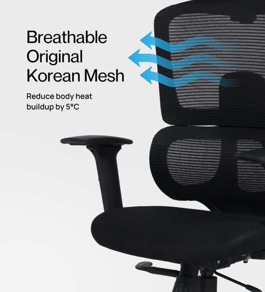 Ettorez FALCON Black High Back Ergonomic Mesh Office Chair