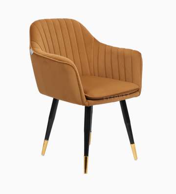 Ettorez LOTUS-GOLDEN/BEIGE Modern/Unique Bedroom Accent Chair