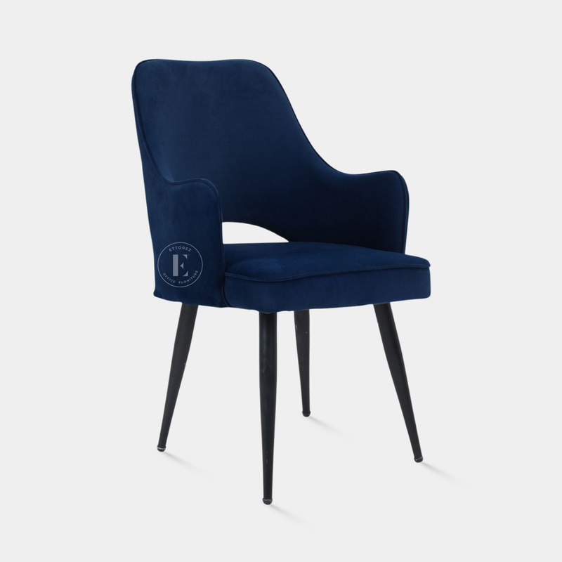 Ettorez ELEGANCE-BLUE Modern/Unique Bedroom Accent Chair