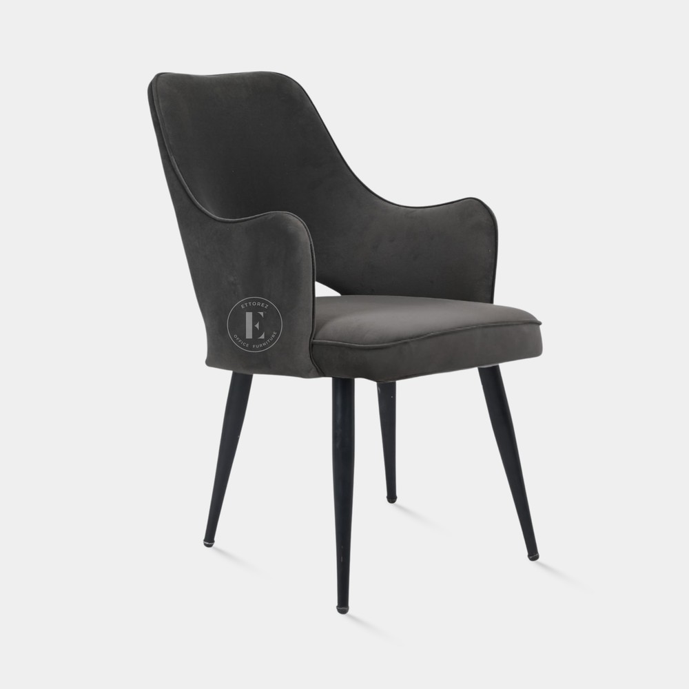 Ettorez ELEGANCE-GREY Modern/Unique Bedroom Accent Chair