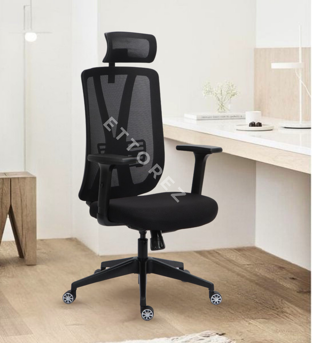 Ettorez ERGO-SPINE BLACK Premium Ergonomic Office Chair