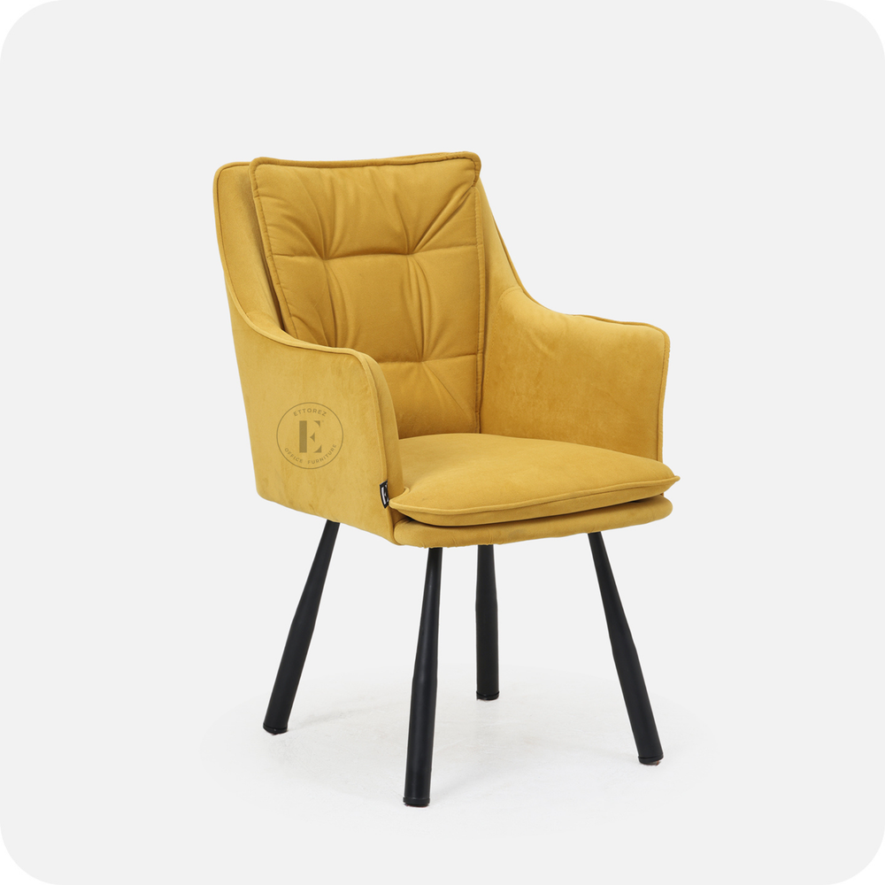 Ettorez DOVE Modern/Unique Accent Chair